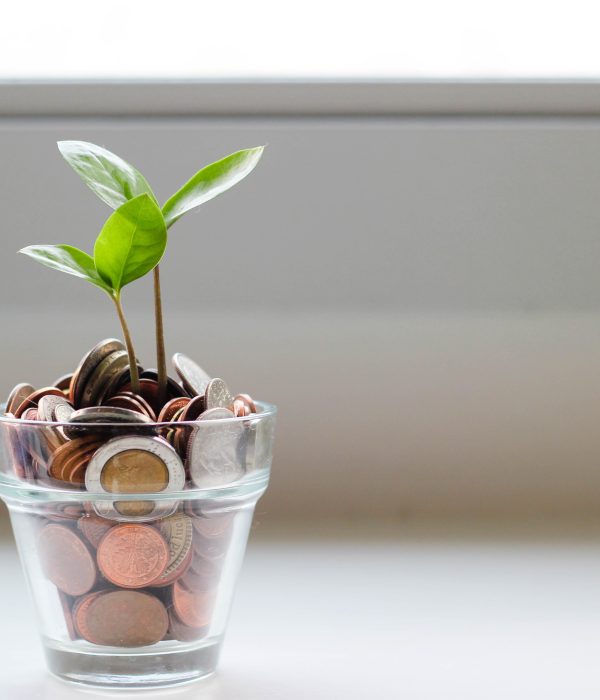 The Most Important Language a Localization Manager Can Speak: Growth