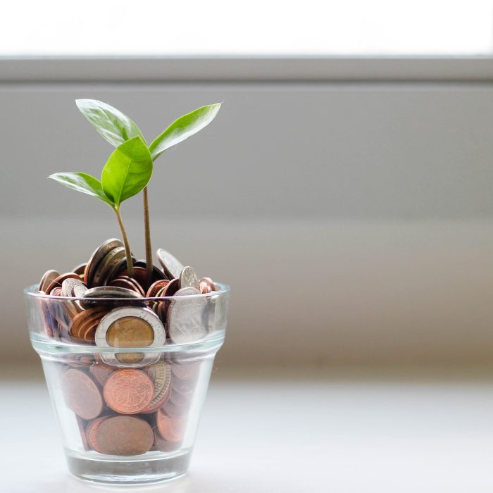 The Most Important Language a Localization Manager Can Speak: Growth