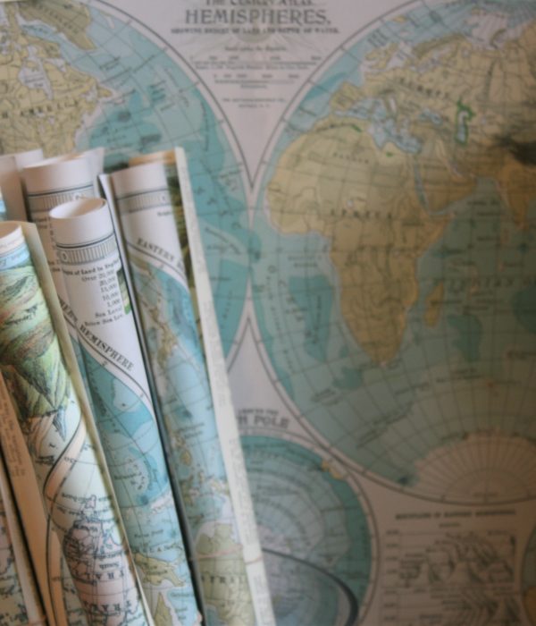 How an International Steering Group Can Help Take Your Business Beyond Borders