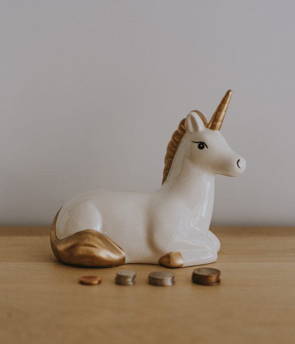 Unicorn Company Contenders and Global Tech Titans