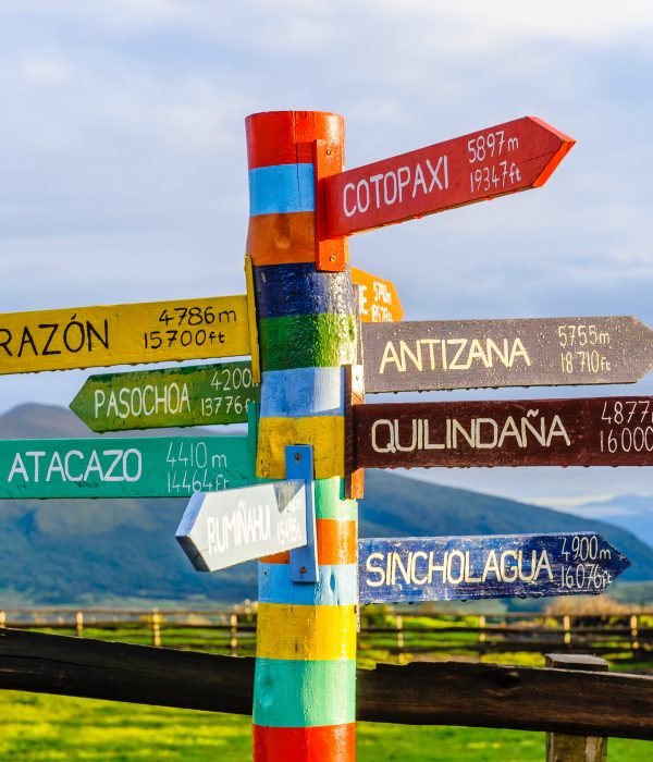 Seven Types of Bias in Software Localization