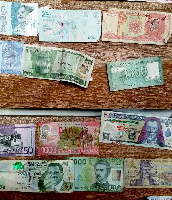 Five Due Diligence Questions for Investors to Evaluate Global Growth Potential