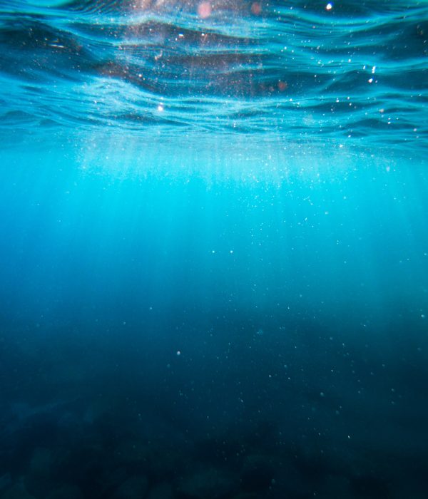 Deep and Wide: the Expanding Role of Marketing Leaders