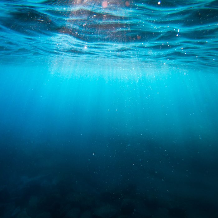 Deep and Wide: the Expanding Role of Marketing Leaders